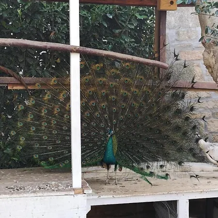Gojim Casa Rural Tatil Evi